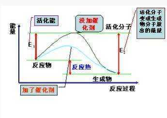 活化分子百分数是多少？