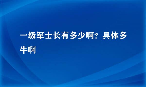 一级军士长有多少啊？具体多牛啊