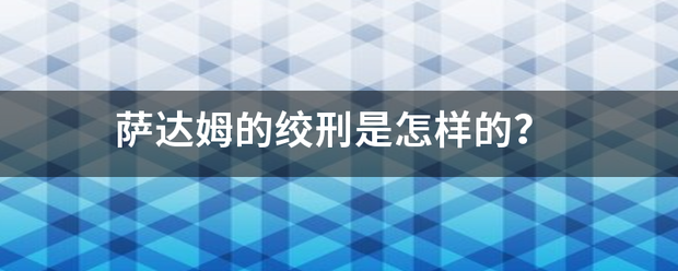 萨达姆的绞刑是怎样的？