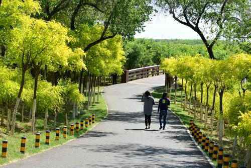 天津北辰郊野公来自园介绍