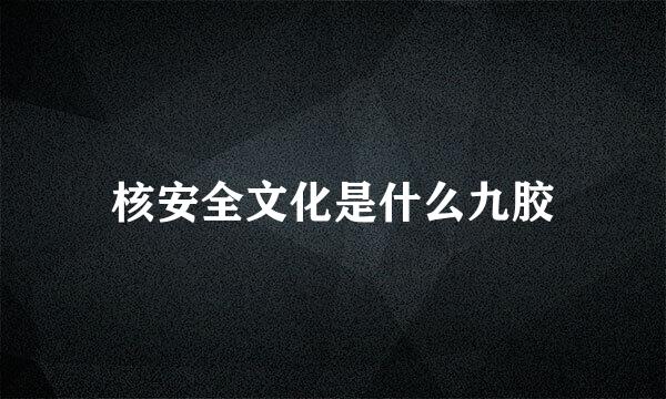 核安全文化是什么九胶