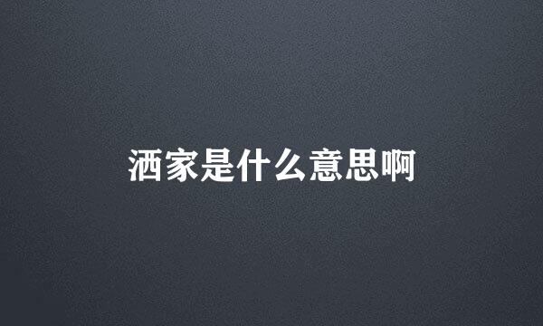 洒家是什么意思啊