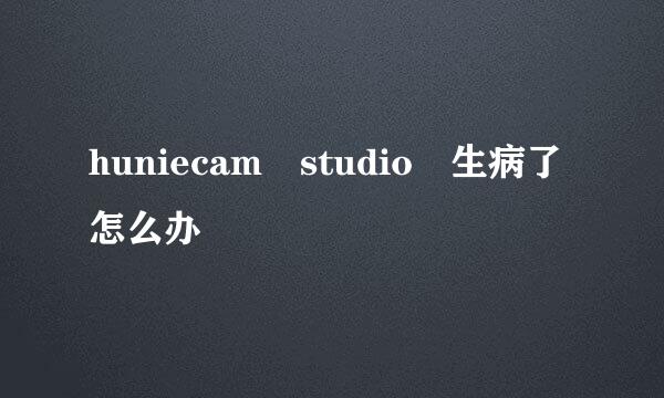 huniecam studio 生病了怎么办