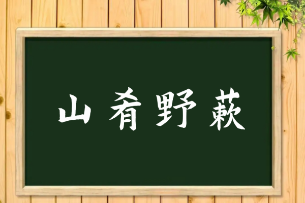 山肴野蔌是什么意思