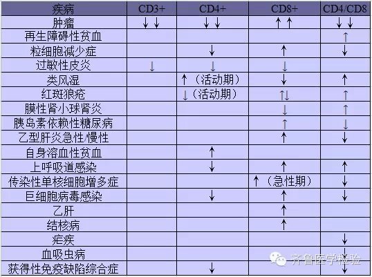 T细胞亚群的具体分类