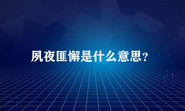 夙夜匪懈是什么意思？