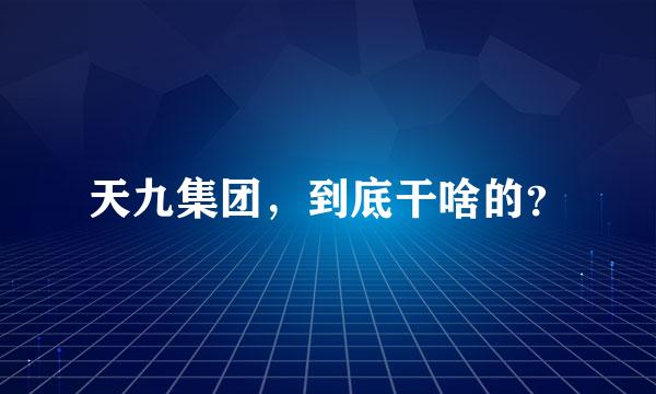 天九集团，到底干啥的？