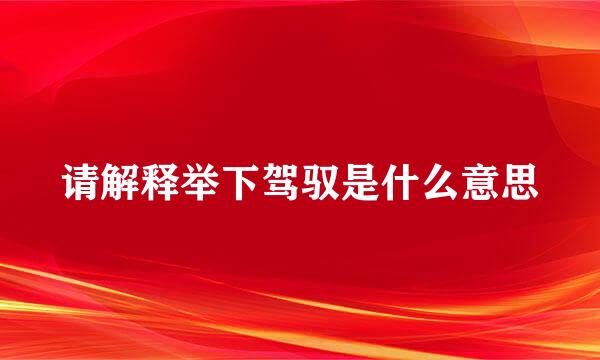 请解释举下驾驭是什么意思