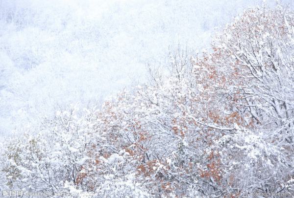 雪景的诗句.