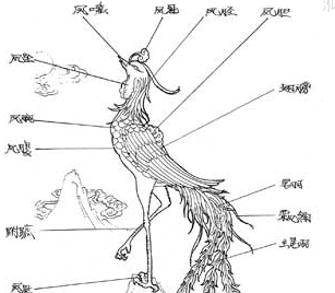 凤与凰的形态区别？有图片吗？