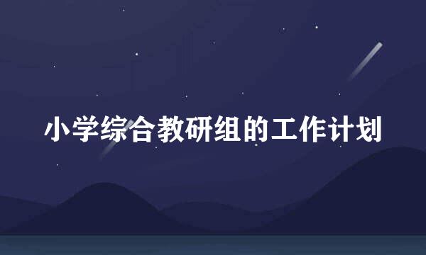 小学综合教研组的工作计划