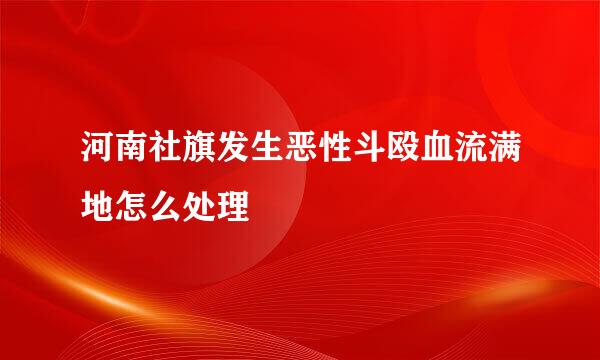 河南社旗发生恶性斗殴血流满地怎么处理