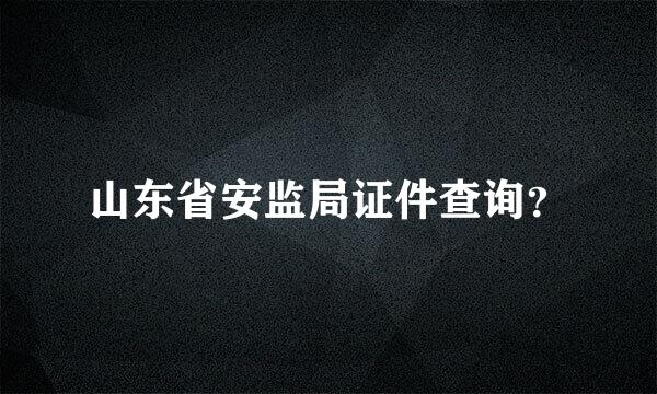 山东省安监局证件查询？