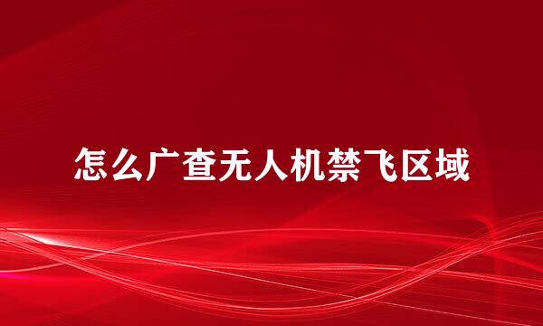 怎么广查无人机禁飞区域