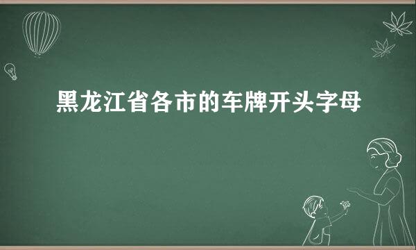 黑龙江省各市的车牌开头字母