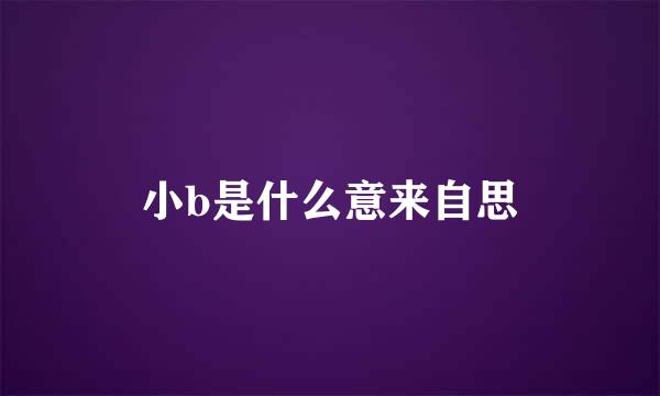 小b是什么意来自思