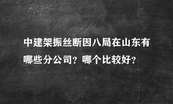 中建架振丝断因八局在山东有哪些分公司？哪个比较好？