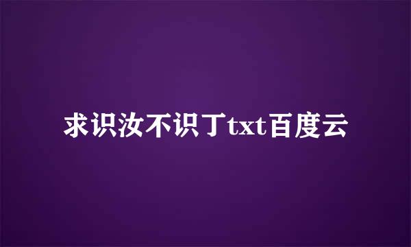 求识汝不识丁txt百度云