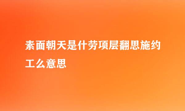 素面朝天是什劳项层翻思施约工么意思