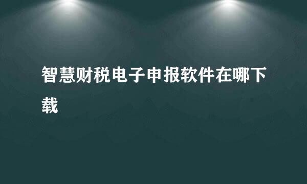 智慧财税电子申报软件在哪下载