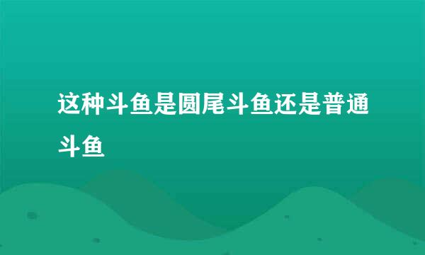 这种斗鱼是圆尾斗鱼还是普通斗鱼