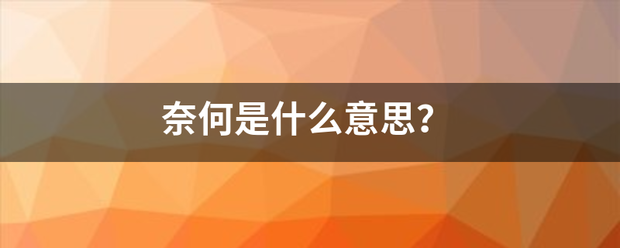 奈何是什么意思？