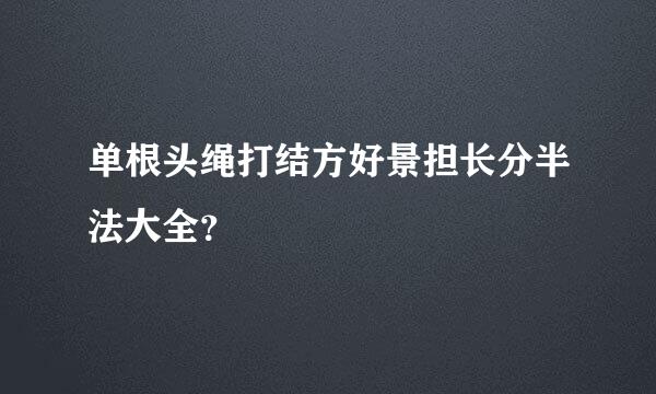 单根头绳打结方好景担长分半法大全？