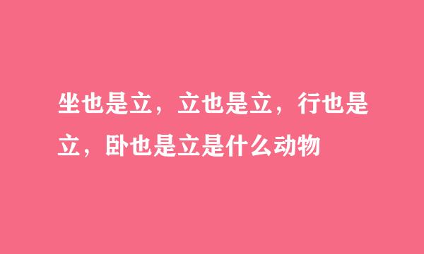 坐也是立，立也是立，行也是立，卧也是立是什么动物