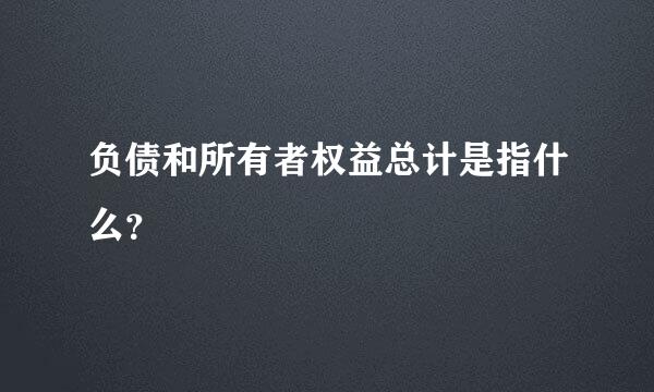 负债和所有者权益总计是指什么？