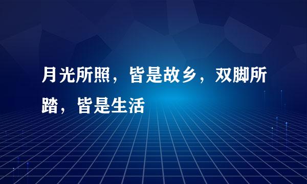 月光所照，皆是故乡，双脚所踏，皆是生活