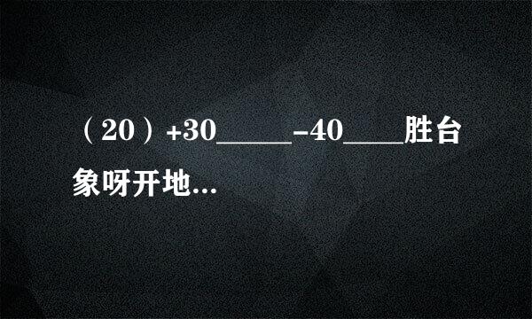 （20）+30_____-40____胜台象呀开地京又走_+60_____-50_____+80_...