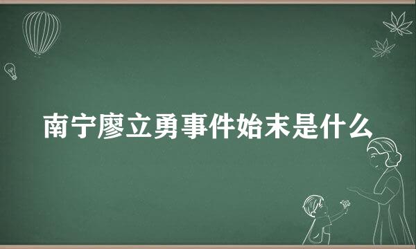 南宁廖立勇事件始末是什么