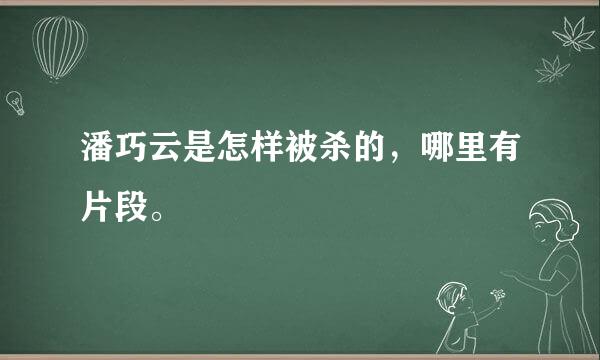 潘巧云是怎样被杀的，哪里有片段。