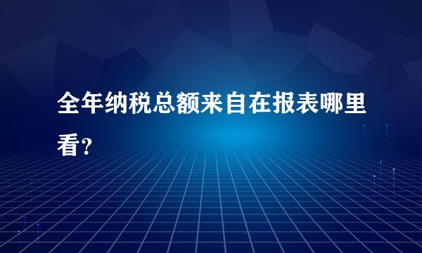 全年纳税总额来自在报表哪里看？