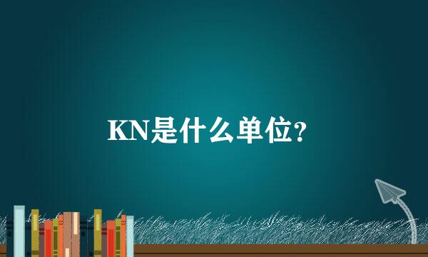 KN是什么单位？