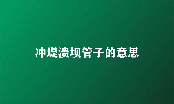 冲堤溃坝管子的意思