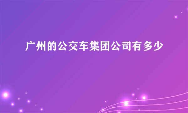 广州的公交车集团公司有多少