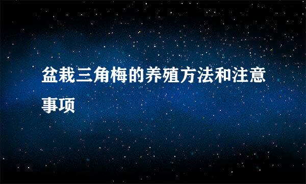 盆栽三角梅的养殖方法和注意事项