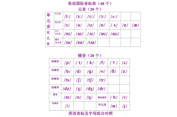 48个英语音标发音点读