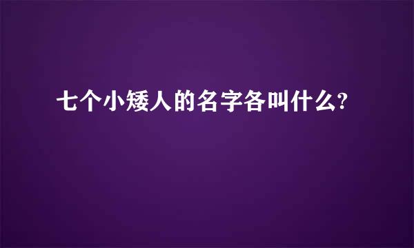 七个小矮人的名字各叫什么?