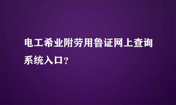 电工希业附劳用鲁证网上查询系统入口？