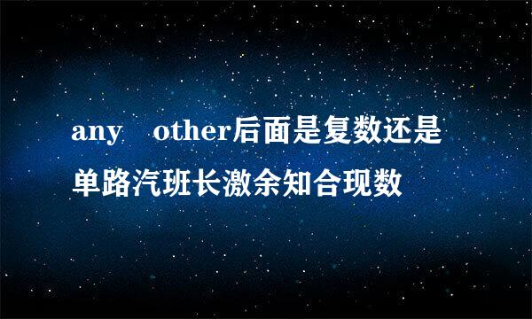 any other后面是复数还是单路汽班长激余知合现数