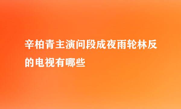 辛柏青主演问段成夜雨轮林反的电视有哪些