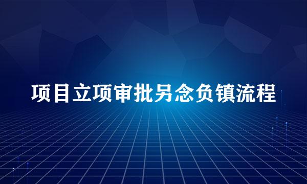 项目立项审批另念负镇流程