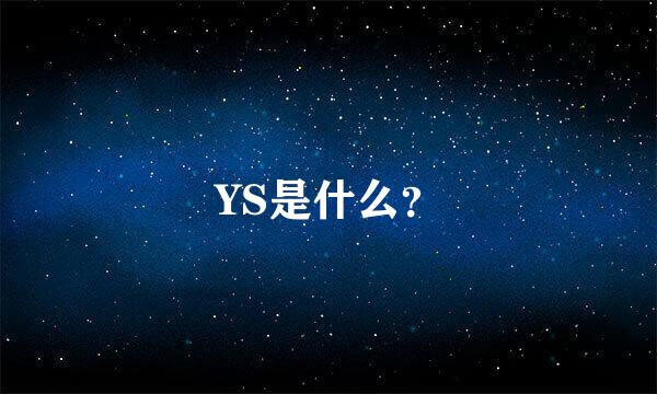 YS是什么？