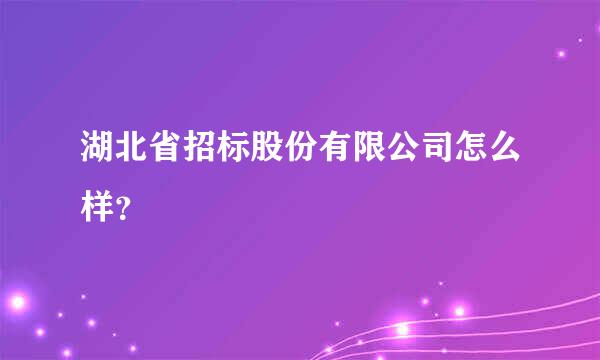 湖北省招标股份有限公司怎么样？