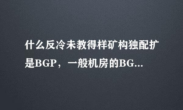 什么反冷未教得样矿构独配扩是BGP，一般机房的BGP是什么意思