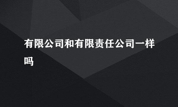 有限公司和有限责任公司一样吗