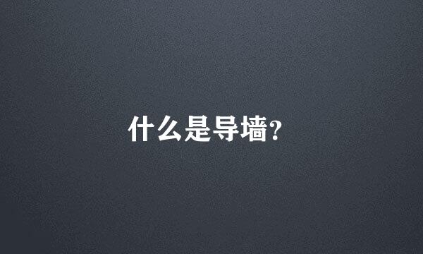 什么是导墙？