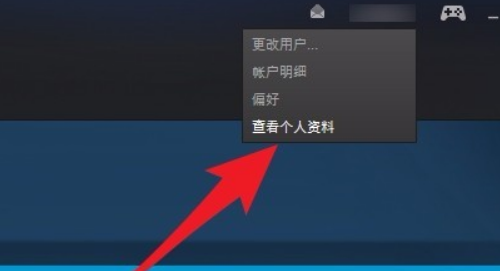 手厂将尔哪顾杂机上steam怎么来自看17位账户id